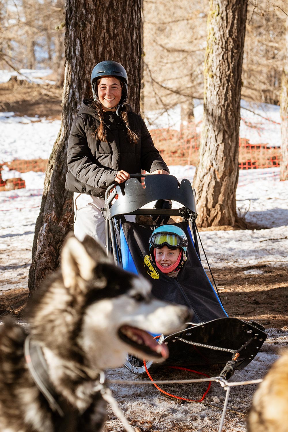 mushing road trip